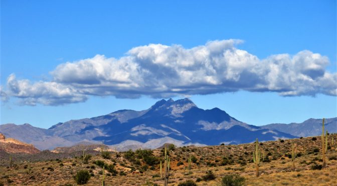 Back in Arizona:  Petrified Forest National Park and Lost Dutchman State Park